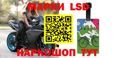 амф Заволжье