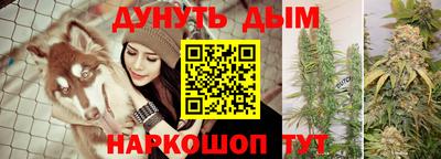 Альфа ПВП Заводоуковск