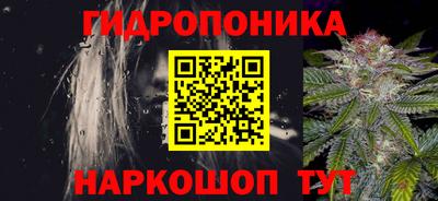 амф Заволжье
