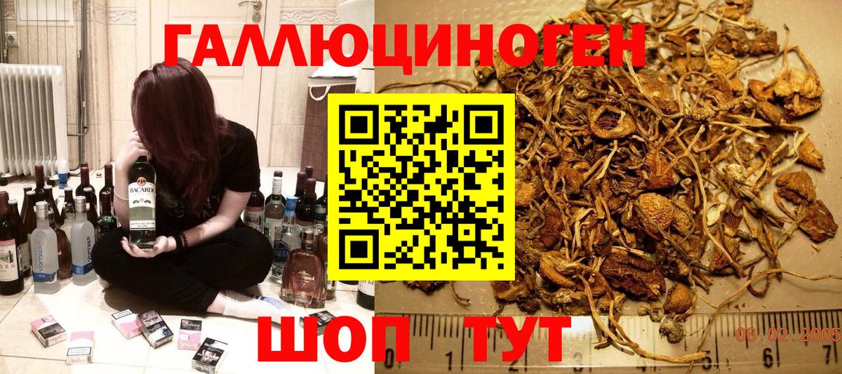 Псилоцибиновые грибы GOLDEN TEACHER Кузнецк