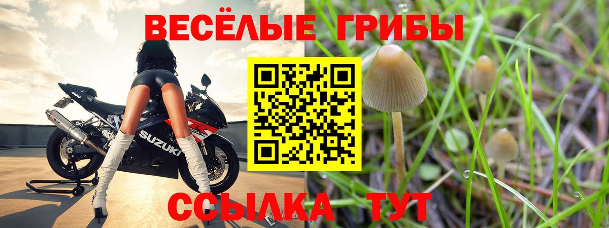 Псилоцибиновые грибы мицелий  Вход с VPN  Кузнецк  Псилоцибиновые грибы Cubensis 